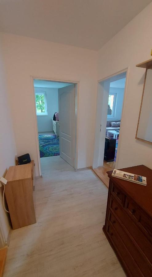 Apartman Milica Versec Kültér fotó