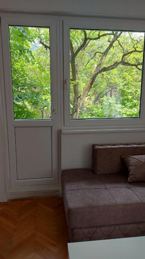 Apartman Milica Versec Kültér fotó